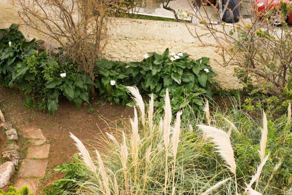 فيلا Tatiana'S Garden House خانيا المظهر الخارجي الصورة